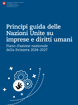 Couverture intégrale NAP 2024-2027 IT